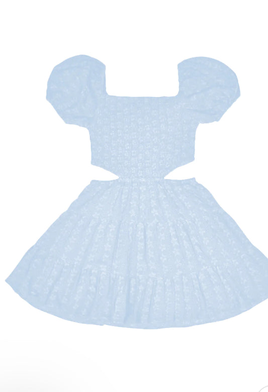 Pheonix baby blue dress
